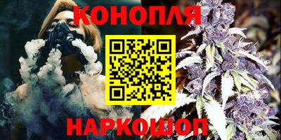 Альфа ПВП Сланцы