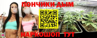 Альфа ПВП Сланцы