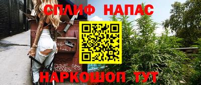 Альфа ПВП Сланцы